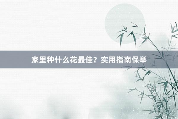 家里种什么花最佳？实用指南保举